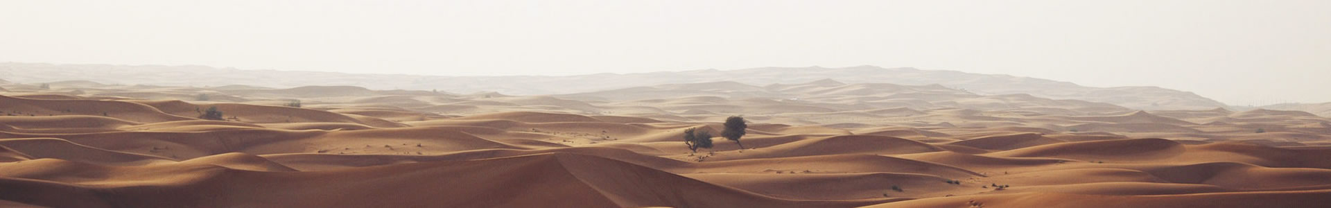 տƲҵƼ޹˾